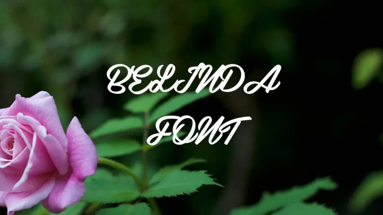 Belinda Font