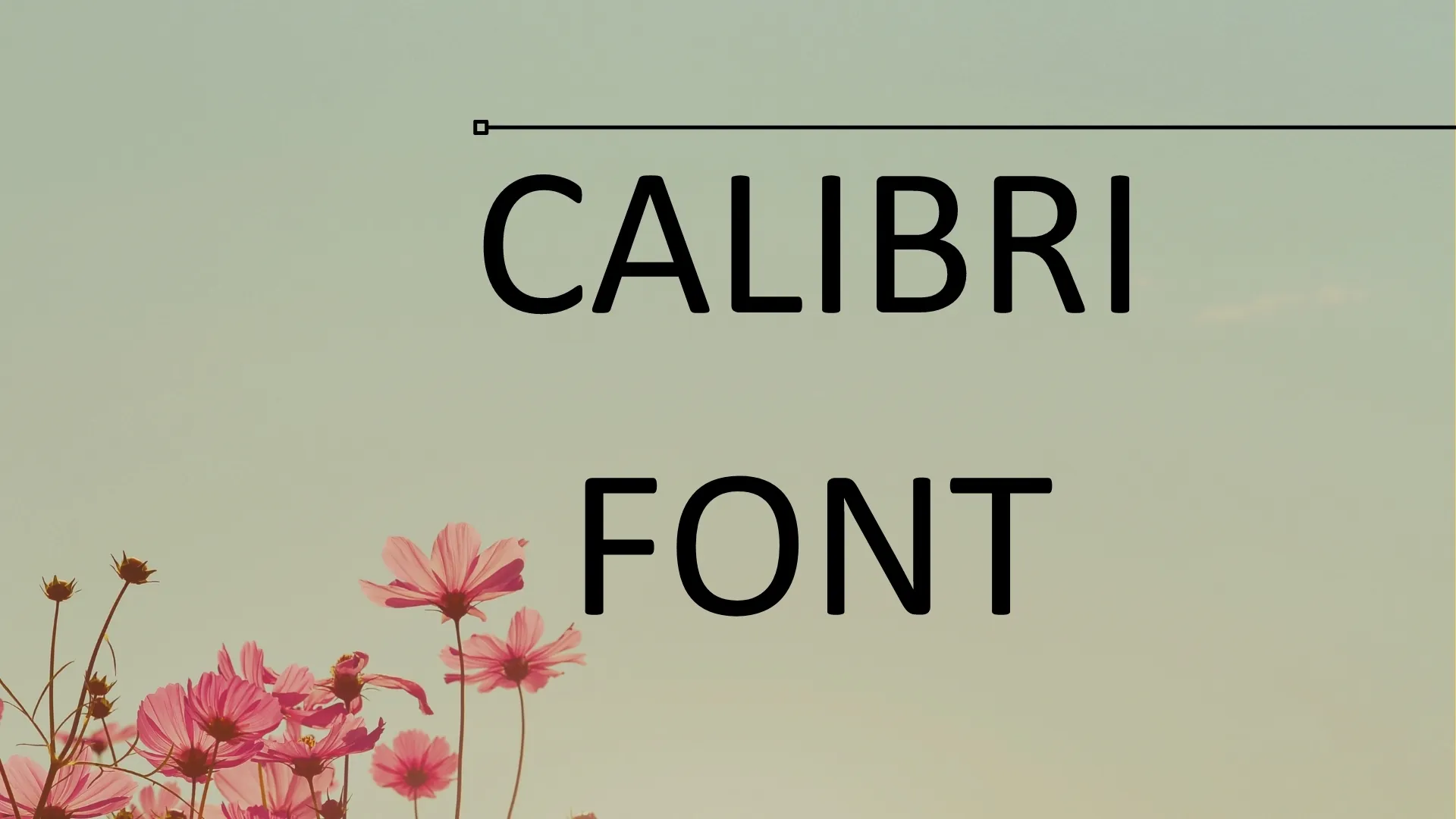 Calibri Font