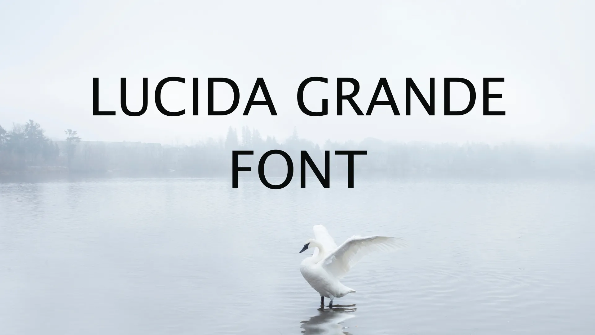Lucida Grande Font