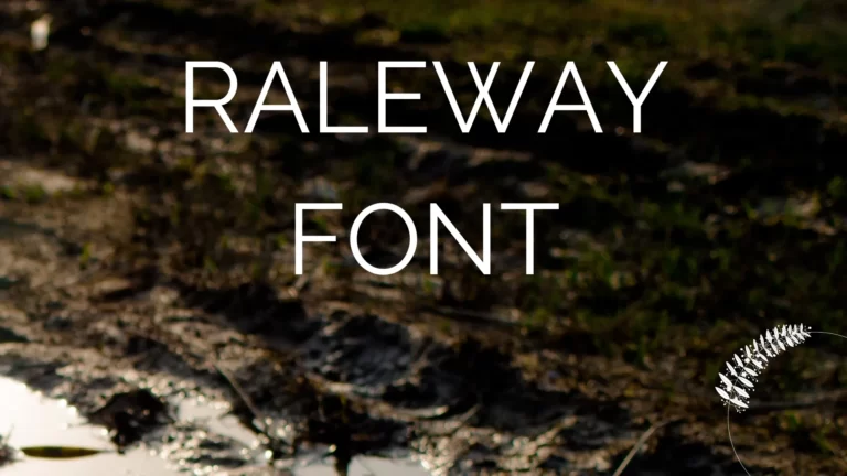 Raleway Font