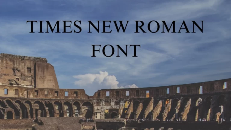 Times New Roman Font