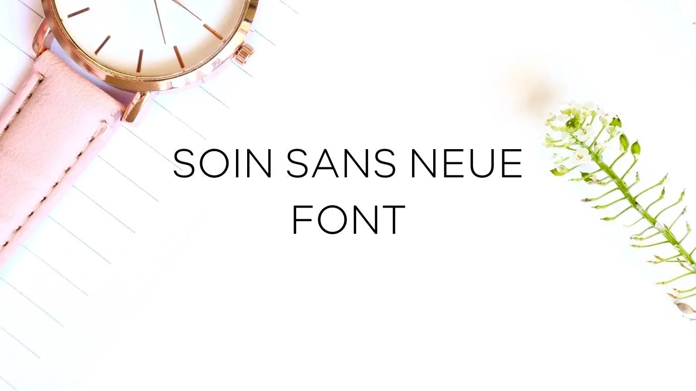 Soin Sans Neue Font