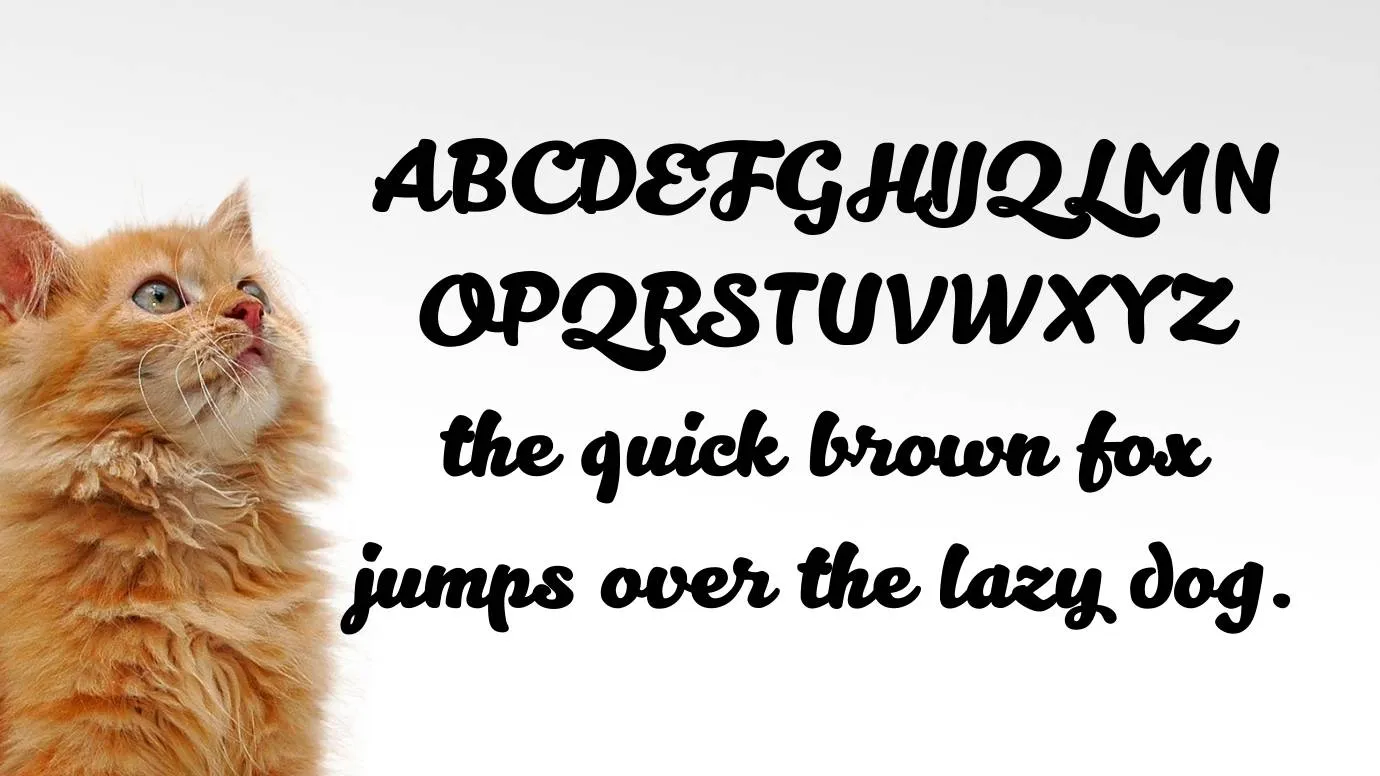 Kitten Font 