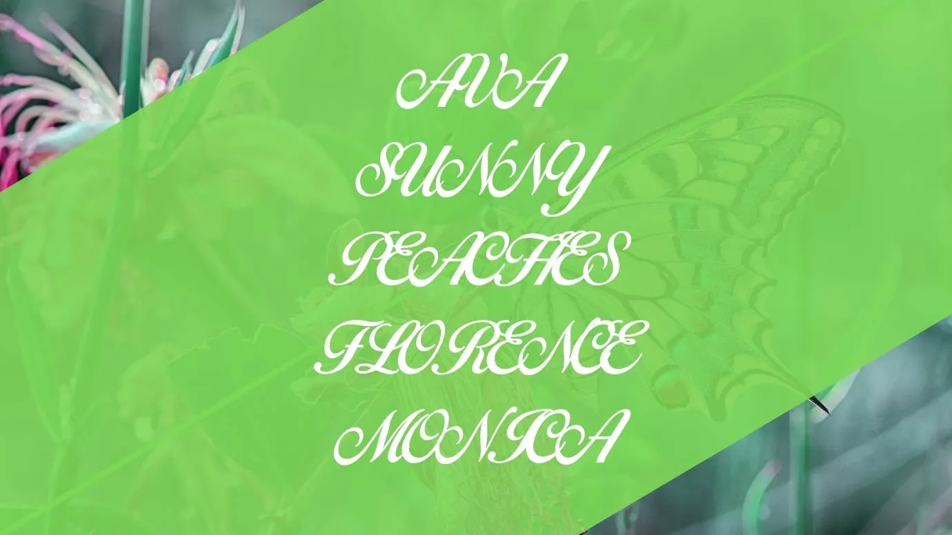 Birds of Paradise Font Free Download