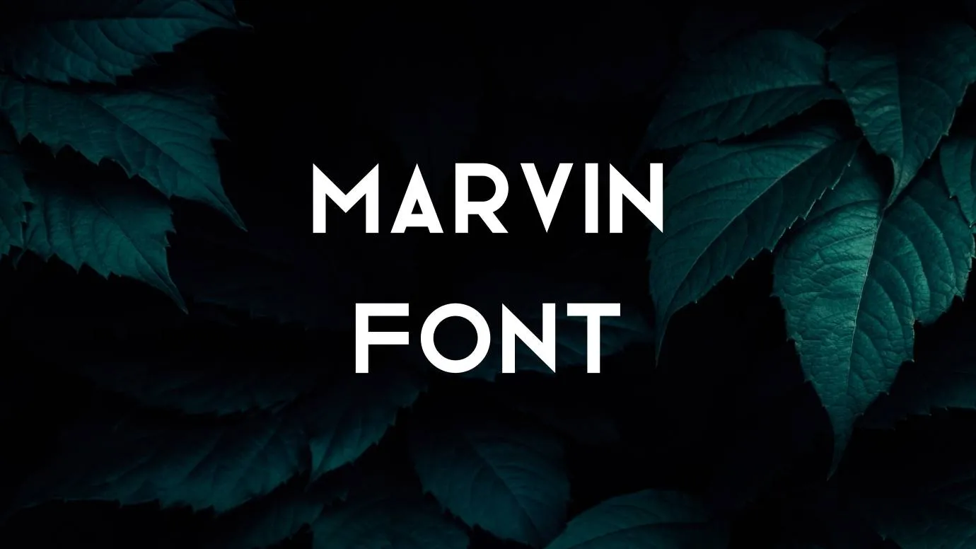 Marvin Font
