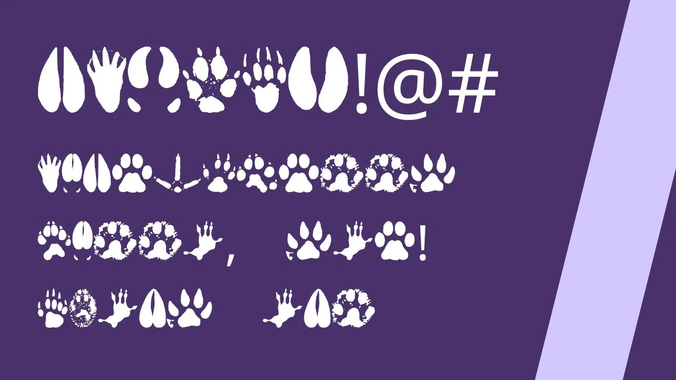 animal tracks font view