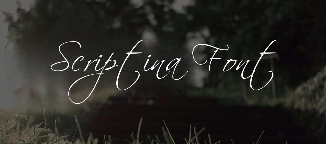 Scriptina Font